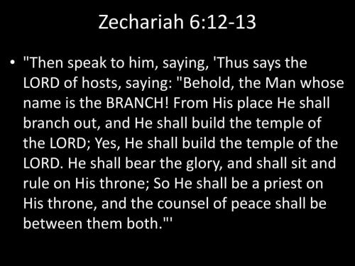 Zechariah 6_12-13