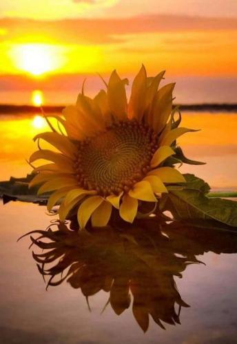 FB_IMG_1695170858164