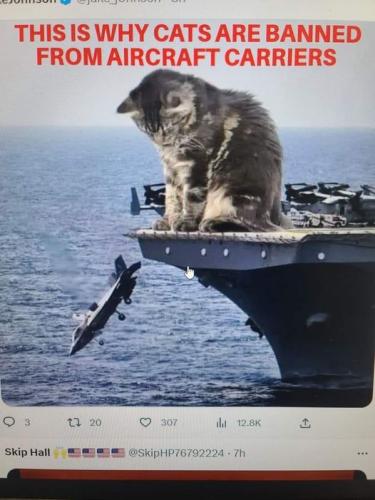 371925013_1572394323168397_3414968058472208406_n