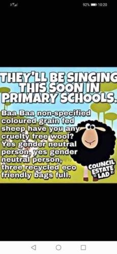 d361bbbd-7954-4e17-a958-f82deb5d1f00