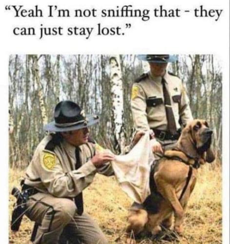 378796885_998287674815532_8634411367182795418_n