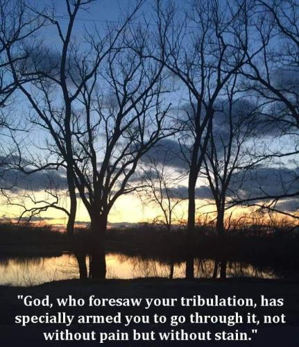 f47b942d-74f9-41e7-945c-821a5f30079f