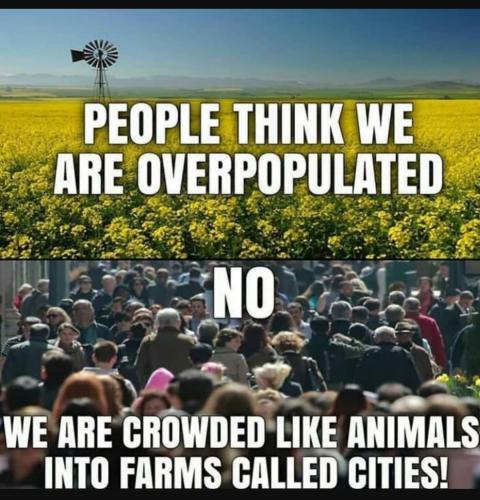 Screenshot_20230903_123404_YouTube