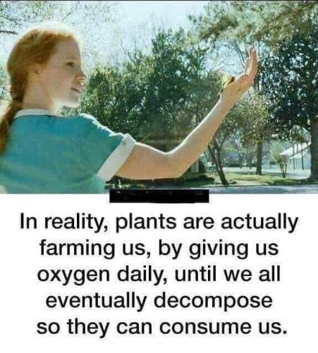 in reality