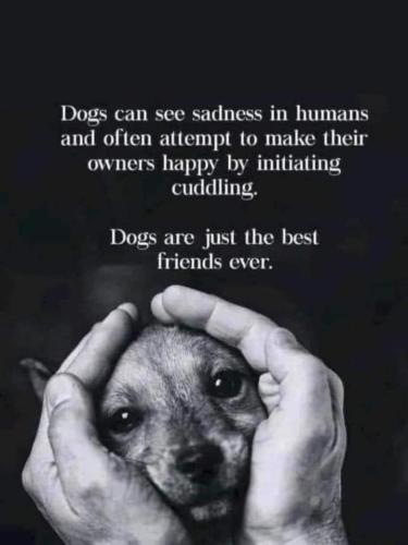 FB_IMG_1694339701453