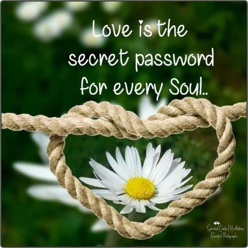 FB_IMG_1695017673808