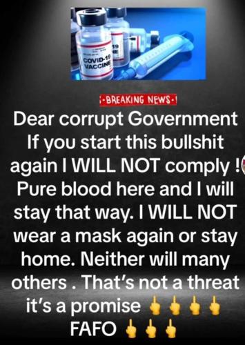 367030729_268698415935027_636809507829922197_n