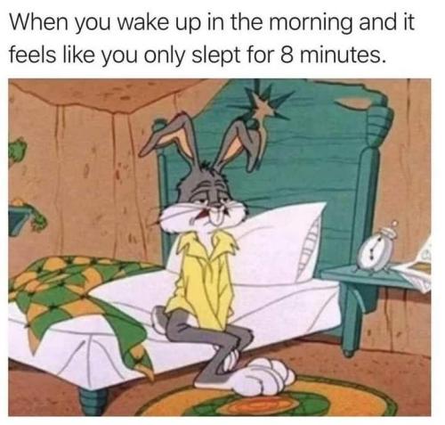 FB_IMG_1695135587241