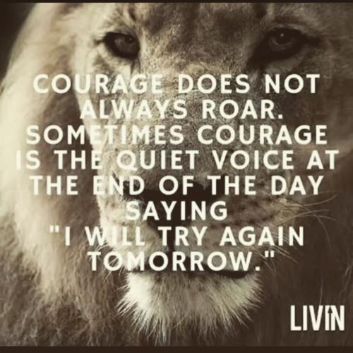 IMG_20230926_044346_669