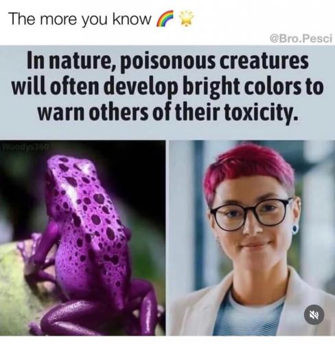 toxic hair