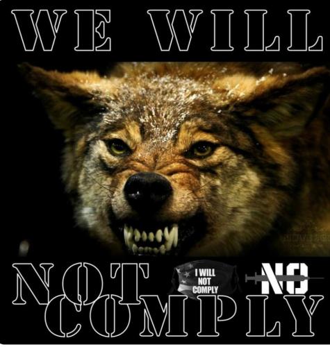 e4895b3f-add0-4fe7-ae3d-bfe0aea5f70c