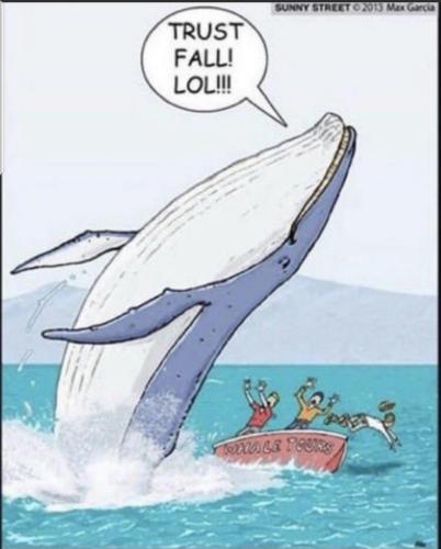 Screenshot_20230922-160500_MeWe