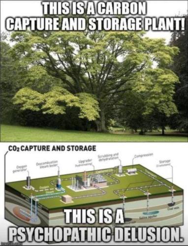 Screenshot_20230920_094827_MeWe