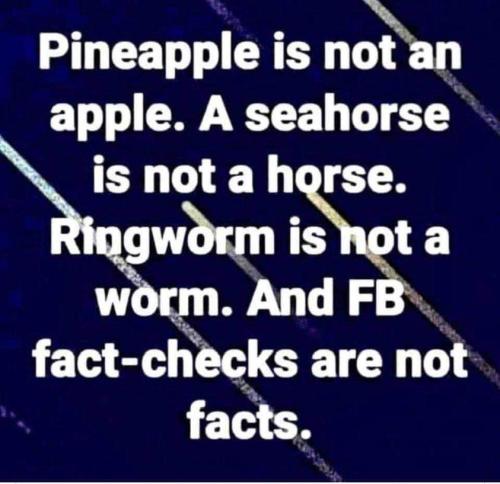 FB_IMG_1694342873496