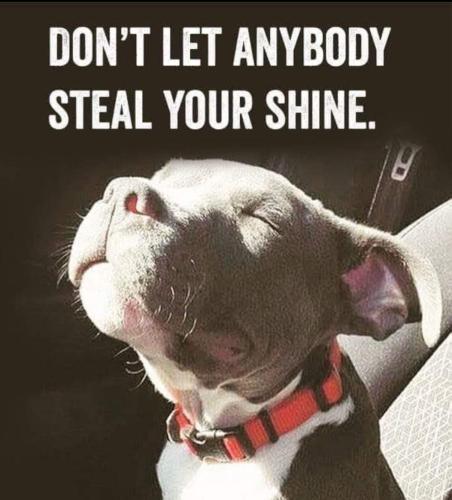 FB_IMG_1695720427540