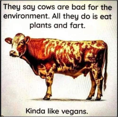 like_vegans