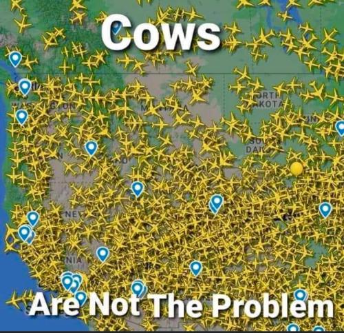 cows are not the problem