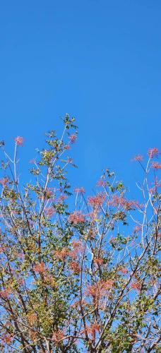 11:46:39 GMT-0500 (CDT)