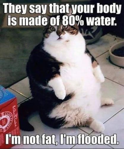 FB_IMG_1694375732862