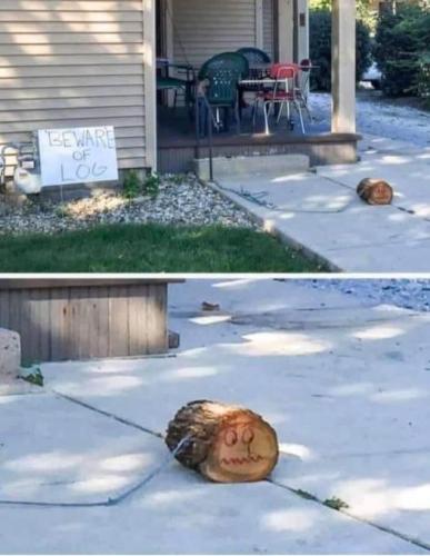 375987990_10228462106845393_8716576632594625848_n