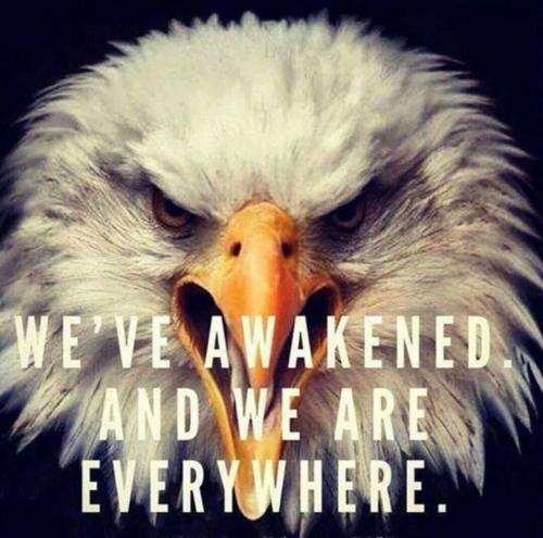 EagleAwake