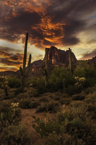 tumblr_47931b08f767841509a19e6d5dc589e8_9f4d5eb3_1280