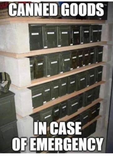 FB_IMG_1696012067876