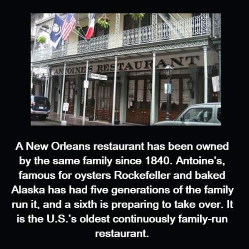 FB_IMG_1693716291194