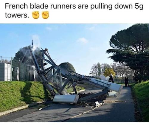 FB_IMG_1695848508211