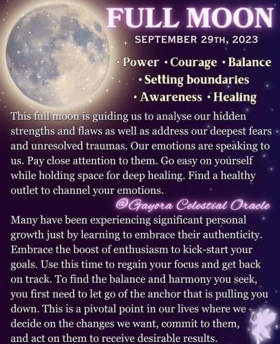 .   383219736_67170564160