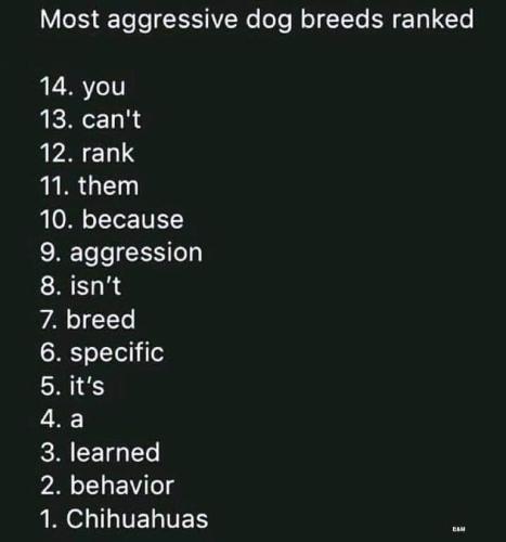 FB_IMG_1693851211248