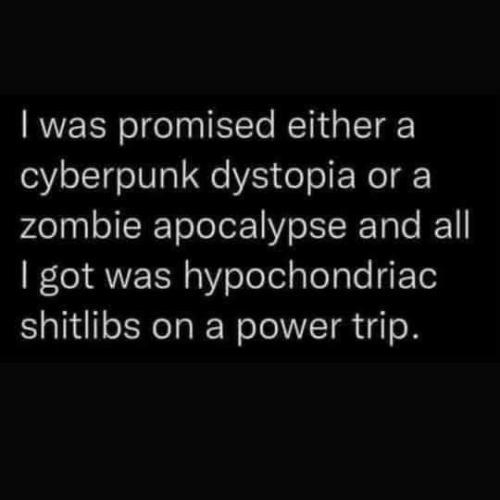 FB_IMG_1693807406633