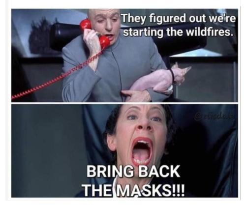 government_masks_wildfires