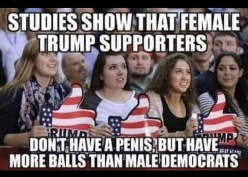 Trump Supporters 1