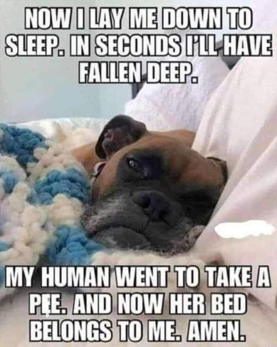 FB_IMG_1695863293853