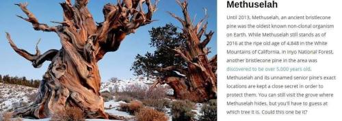 350159d0-6773-48b6-848f-8949a8b5ac73