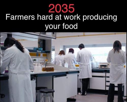 farmers at  work 2035
