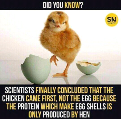 Screenshot_2023-09-07-20-30-31_kindlephoto-41284111