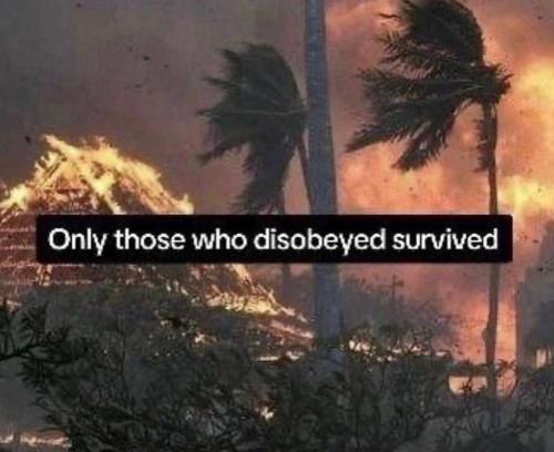 378323683_687831253375078_2082338918647765972_n