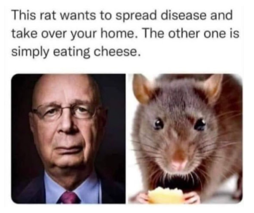 Screenshot_2023-09-07-23-44-41_kindlephoto-41072332