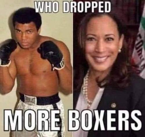 FB_IMG_1695162453854