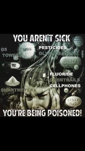 4561ab9f-8042-4a14-9c88-9c5c1d81298d