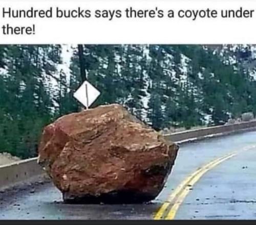 380263455_840328847790084_248752949074904001_n