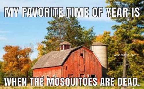 FB_IMG_1695378682130