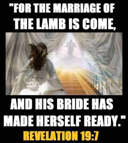 FB_IMG_1695041068702