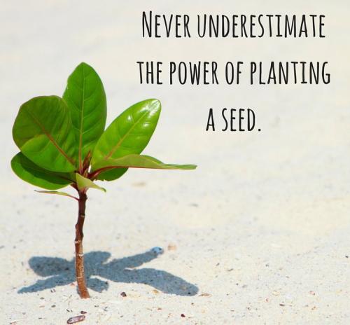 1-Planting a Seed