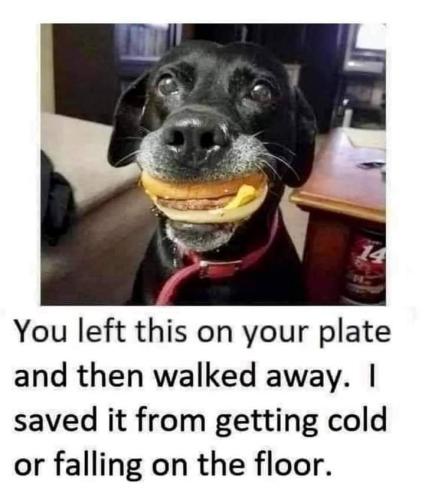 FB_IMG_1695915768745