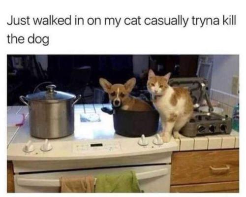 FB_IMG_1693608084417