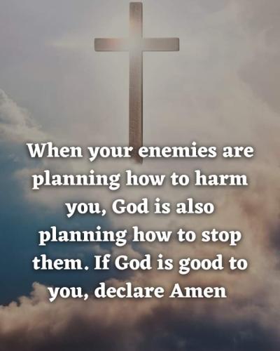 FB_IMG_1693708326365