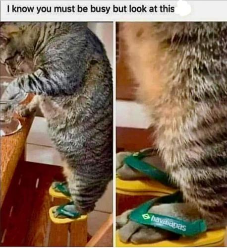 FB_IMG_1694158531866